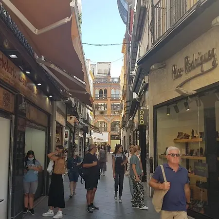 Apartamento Tranquilo Y Con Encanto En Palacio Sevillano, Junto Catedral A Acond Y Wifi Apartment Seville